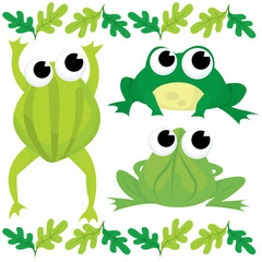 Obraz premium Green As Frogs