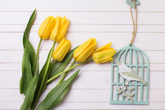 Bright  yellow tulips flowers and decorative bird  on white pain