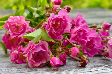 Bunch of pink roses on a wooden background