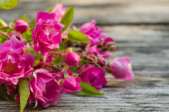 Bunch of pink roses on a wooden background