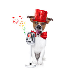 chien qui chante avec un micro