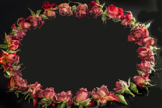 Oval frame made of beautiful pink and red roses and buds, isolated on black.