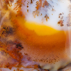 background from Dendritic Agate gem stone close up