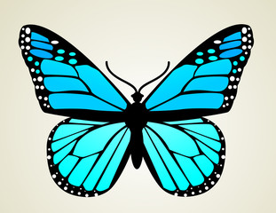 Fototapeta na wymiar Butterfly. Vector illustration 
