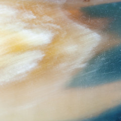 polished surface of natural horn close up © vvoe