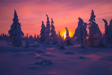 Foto op Aluminium Winterlandschap met bos, wolken en zonsondergang © Olonkho