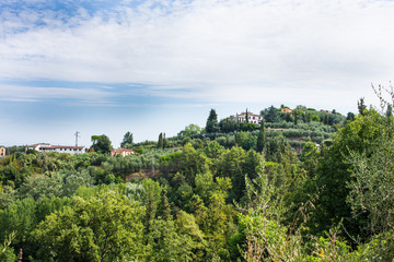 Fototapeta na wymiar Paesaggio di campagna Toscana, colline coltivazioni, agricoltura