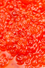 sockeye salmon fish salted red caviar close up