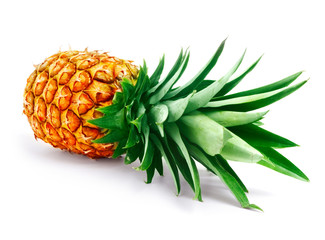pineapple with fresh green leaves isolated on white background