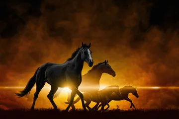 Fotobehang Vier rennende zwarte paarden © IgorZh