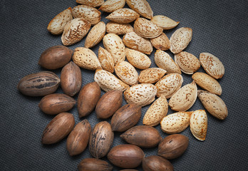 pecans and almonds in the shell