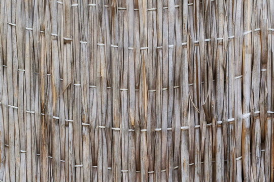 old reed texture background