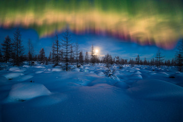 Winter night landscape with polar light over the forest 