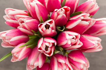 Obraz premium Tulips bouquet on the grey background.