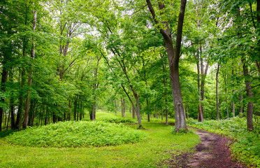 Fototapeta premium Effigy Mounds National Monument