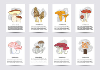 Cards templates with hand drawn mushrooms for design. 