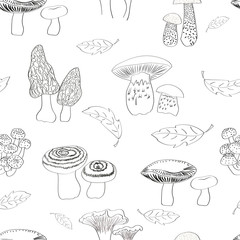 Mushrooms seamless pattern. Hand drawn russulles. morels, porcini, chanterelles and agarics isolated on white. Repeating vector background. 