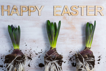 Hiacynty i napis happy easter na tle drewnianej białej deski © mukiart