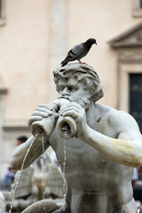  Fontana del Moro (Moor Fountain) in Piazza Navona. Rome, Italy