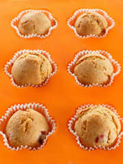 Muffins in a baking pan
