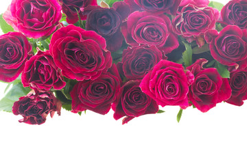 Border of red and pink roses 