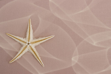 Fototapeta na wymiar Summer background: starfish