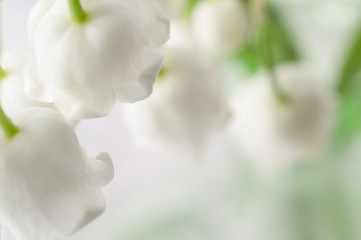 Lily of the valley bouquet close up from above, abstract background. Copy space, horizontal.