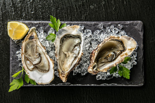 Oysters served on stone plate with ice drift