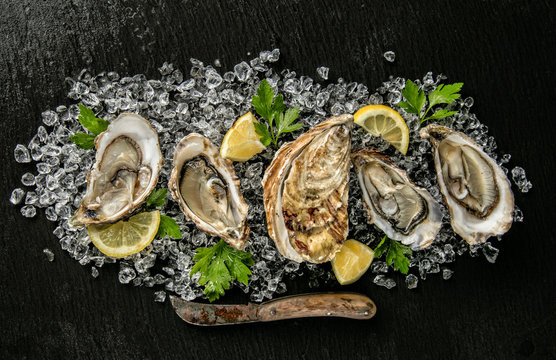 Oysters served on stone plate with ice drift