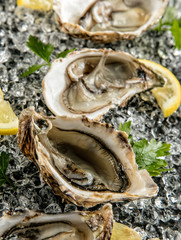 Oysters served on stone plate with ice drift