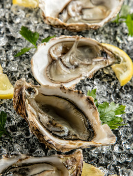 Oysters served on stone plate with ice drift