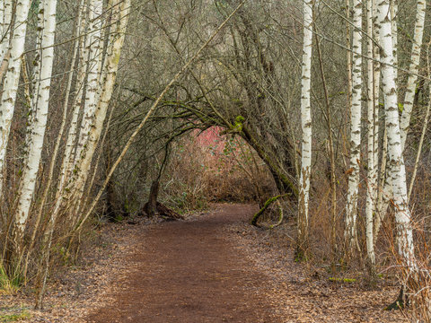 Mercer Slough Nature Park