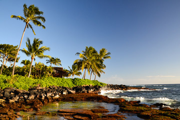 Stunning evening shot of a beach section of Lawai Beach near Poipu on the island of Kauai, Hawaii with palm trees and a beach house at the oceanfront. Poipu is one of the touristic centers of Kauai