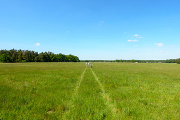 Walking through Summer Fields