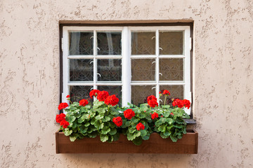 Fototapeta na wymiar Window decorated with Geranium flowers
