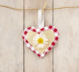 Rot Kariertes Dekoherz mit Margerite