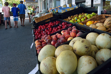 Matakana farmers market New Zealand