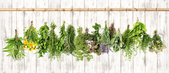 Medicinal herbs. Herbal apothecary. Lavender, dandelion, nettle