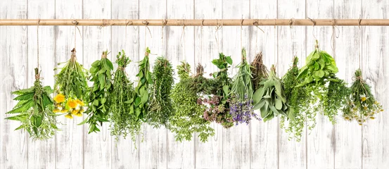 Foto op Canvas Geneeskrachtige kruiden. Kruiden apotheek. Lavendel, paardenbloem, brandnetel © LiliGraphie