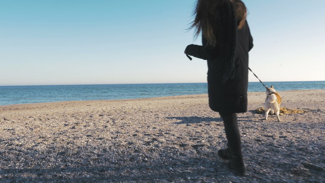 Young girl walking with siberian husky dog on the beach in sunny day, 4k