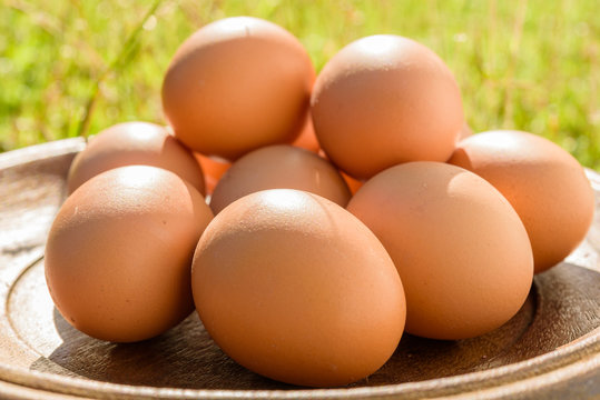 Eggs in wood tray on grass yard