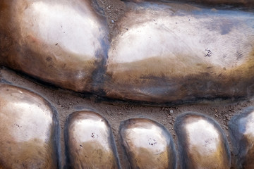The metal surface with protrusions