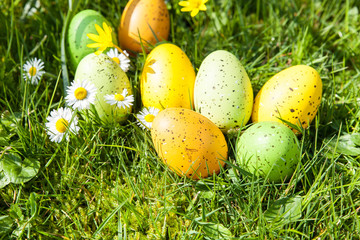 oeufs de paques colorés cachés dns le jardin entre les fleurs et l'herbe