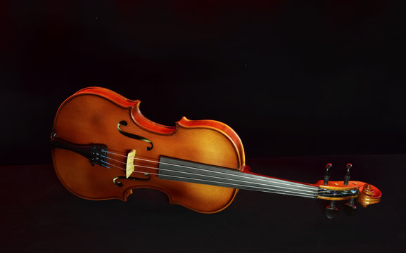 Vintage violin on black background
