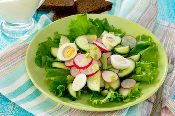 Fresh vegetable salad with sour cream, radish, cucumber and lett