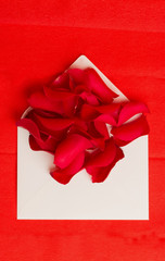Some red rose petals in envelope on red