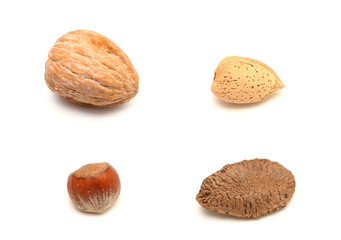 In Shell Nuts