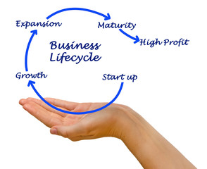 Diagram of Business lifecycle