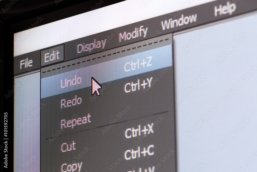 Poster software menu with undo command