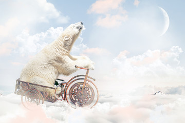 Naklejka premium Polar bear above the clouds